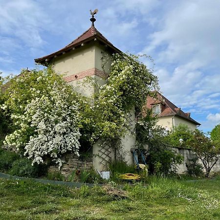 La Maison Du Parc Saint-Raphaël Eksteriør billede