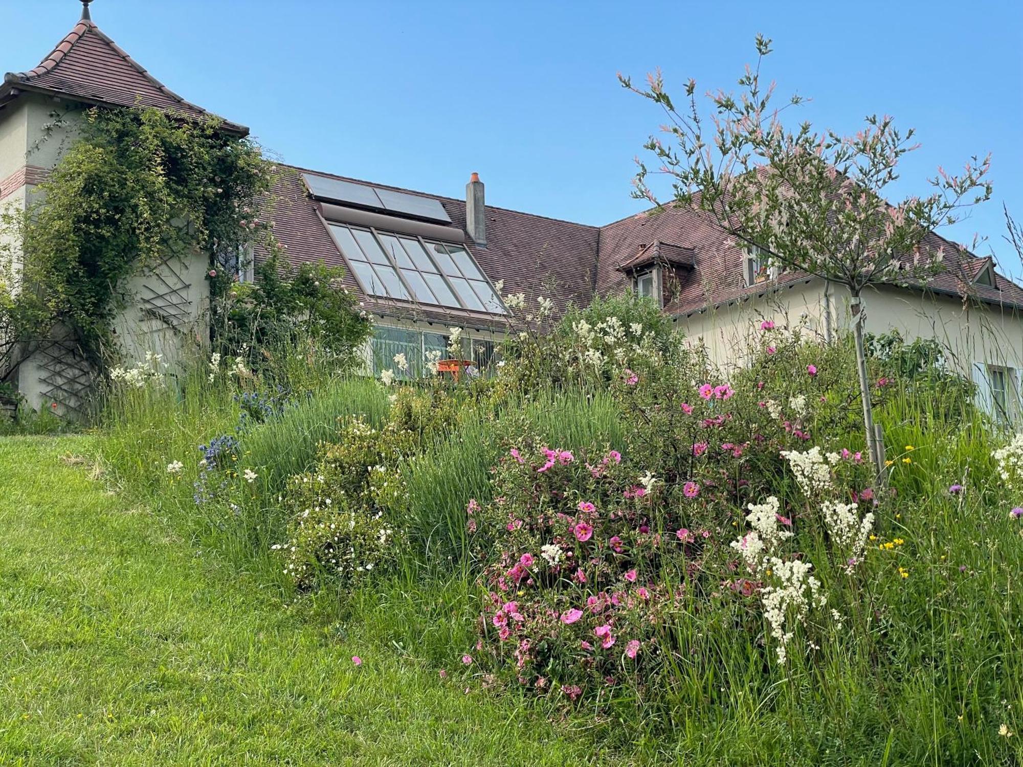 La Maison Du Parc Saint-Raphaël Eksteriør billede
